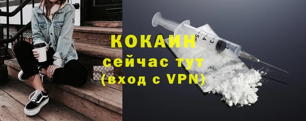 шишки Новокубанск