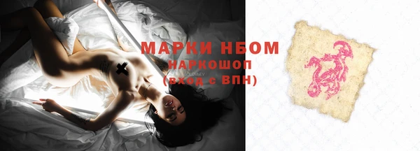 шишки Новокубанск