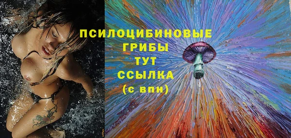 ECSTASY Новодвинск
