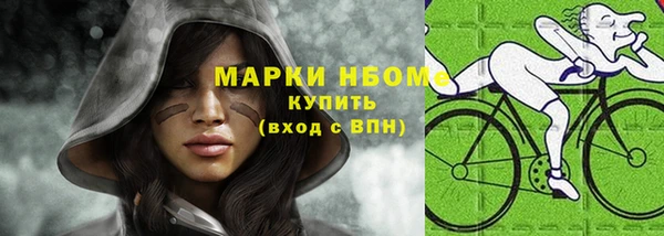 гашик Болотное