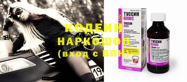 гашик Болотное