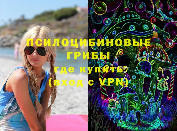 шишки Новокубанск